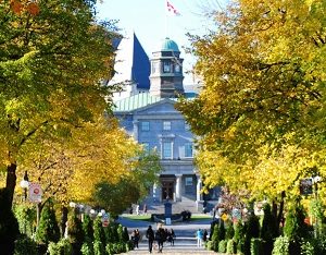 Top 12 University for Master’s in Psychology in Canada (2022)
