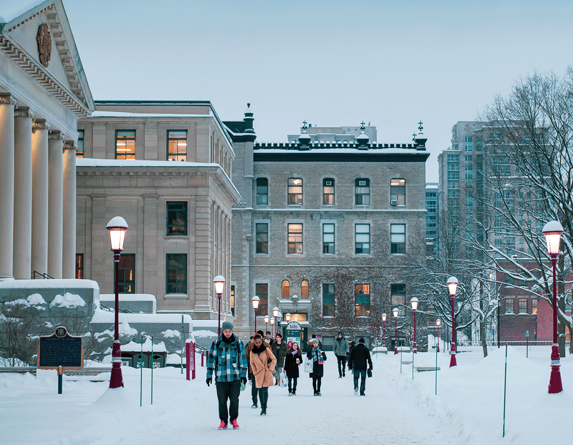 Top 7 Universities in Ottawa for International Students in 2023 TC Global