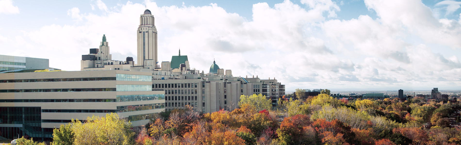 Top 7 Architecture Colleges In Canada For International Students In ...