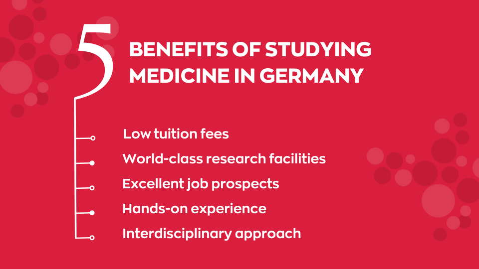 medical education in germany for international students